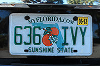 USA - Florida - Miami