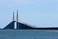 Sunshine Skyway Bridge