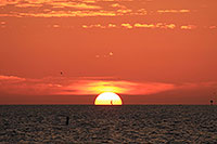 Teasure Island - Sunset Beach