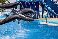 Orlando - Seaworld