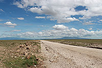 Tansania - Tarangire National Park