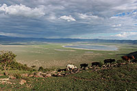 Tansania - Ngorongoro Krater