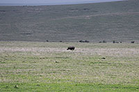 Tansania - Ngorongoro Krater