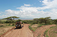 Tansania - Lake Manyara NP