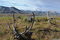 Mount McKinley, Denali NP - Alaska