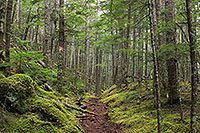 Wanderung zum Sturgills Landing, Skagway - Alaska