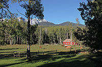 Übernachtung im Black Cat Guest Ranch, Hinton, Alberta - Kanada