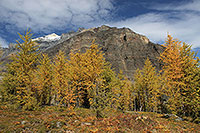 Wanderung auf den Sentinel-Pass, Banff NP, Alberta - Kanada