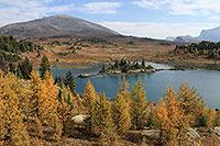 Wanderung zum Sunshine Skigebiet - Grizzly-Lake, Banff NP, Alberta - Kanada