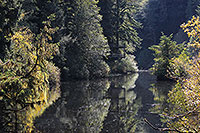 Tide Rip Grizzly Adventures, Telegraph Cove, BC Kanada