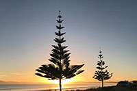 Neuseeland - Tokerau Beach Sunrise
