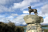 Neuseeland - Lake Tepako - Mackenzie Sheep Dog Statue