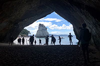 Neuseeland - Colville - Cathedral Cove