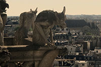 Paris - Kathedrale Notre-Dame