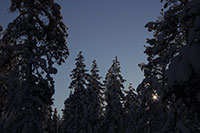 Wanderung auf den Kuer