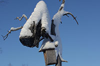 Vogelhaus