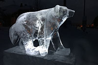 Eisbär