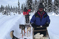 Husky Safari